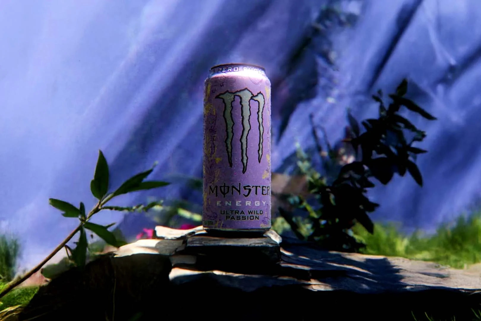 Monster Ultra Wild Passion