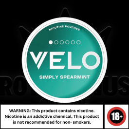 SIMPLY SPEARMINT - 1DOT - NICOTINE POUCH - VELO - 10 Pack